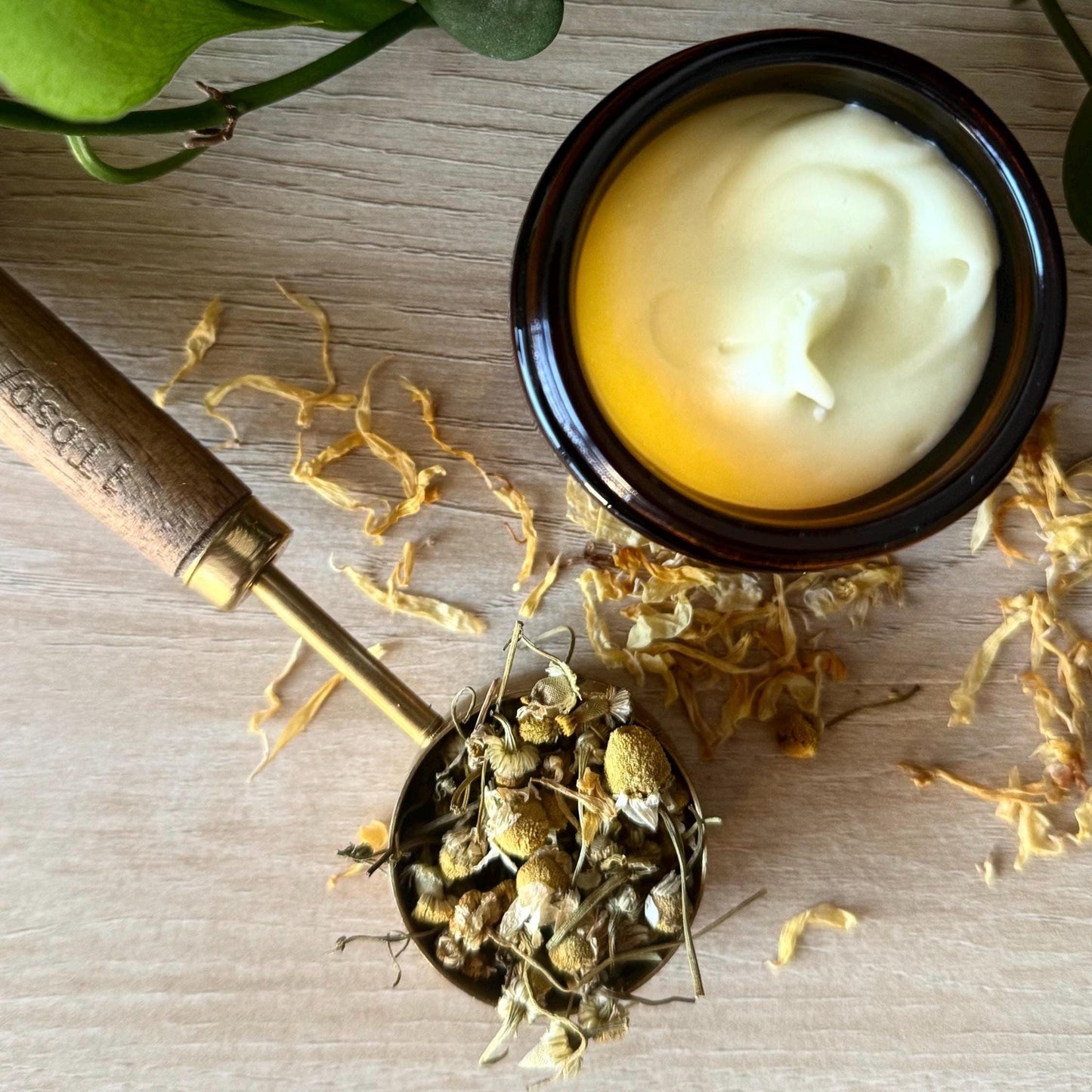 The CC Cream | Calendula & Chamomile Tallow Cream