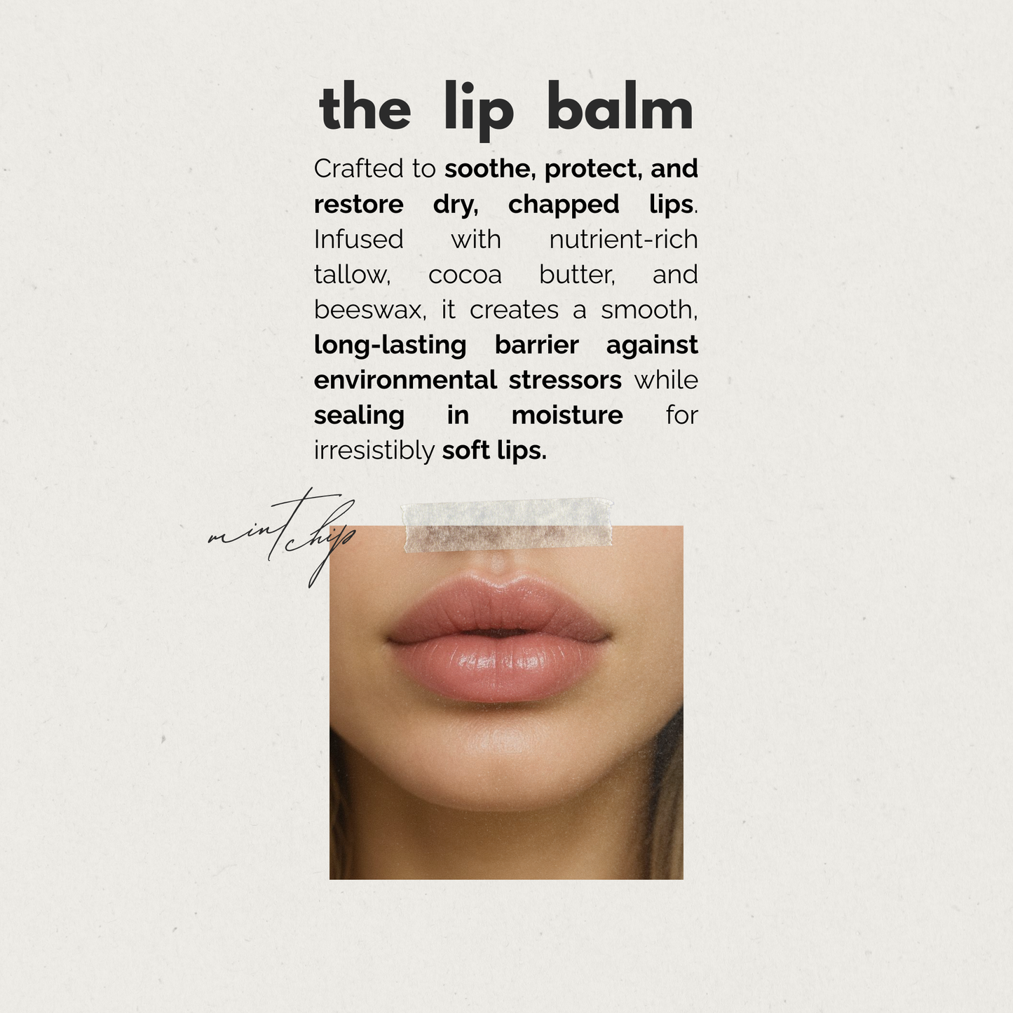 The Lip Balm | Mint Chip
